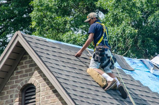 Best Gutter Installation and Roofing  in Wade, MS